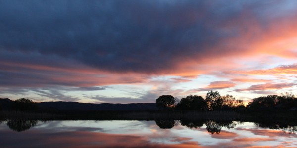 Basecamp pond at sunset