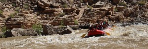 The group paddles through Government Rapid on the Lower San Juan River