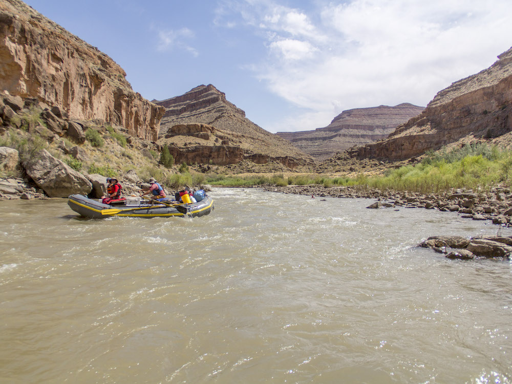 Summer Expeditions 