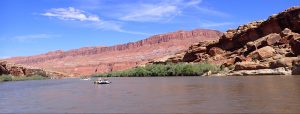 sweeping river and canyon colorado